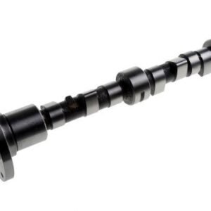 Wałek rozrządu MF3 [31415261]