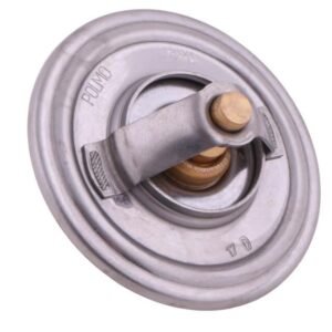 Termostat SW400 Bizon POLMO [323378P]