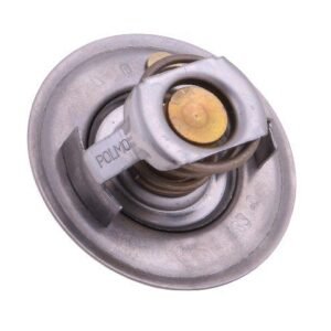 Termostat 6005012123 RENAULT POLMO [6005012123P]