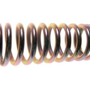 Sprężyna docisku sprzęgła C-385 [80021088]