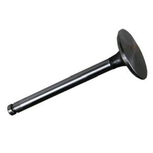 Zawór ssący 1877717M92 Massey Ferguson/Perkins [RM-31431641]