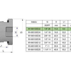 Korek hydrauliczny calowy (na imbus) 1/8" BSP ED Waryński ( sprzedawane po 10 ) [W-400100E02]