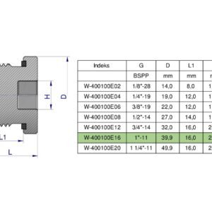 Korek hydrauliczny calowy (na imbus) 1" BSP ED Waryński ( sprzedawane po 2 ) [W-400100E16]